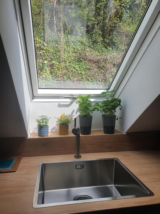 Magiczna Wenecja Apartment Cieszyn (Silesia)