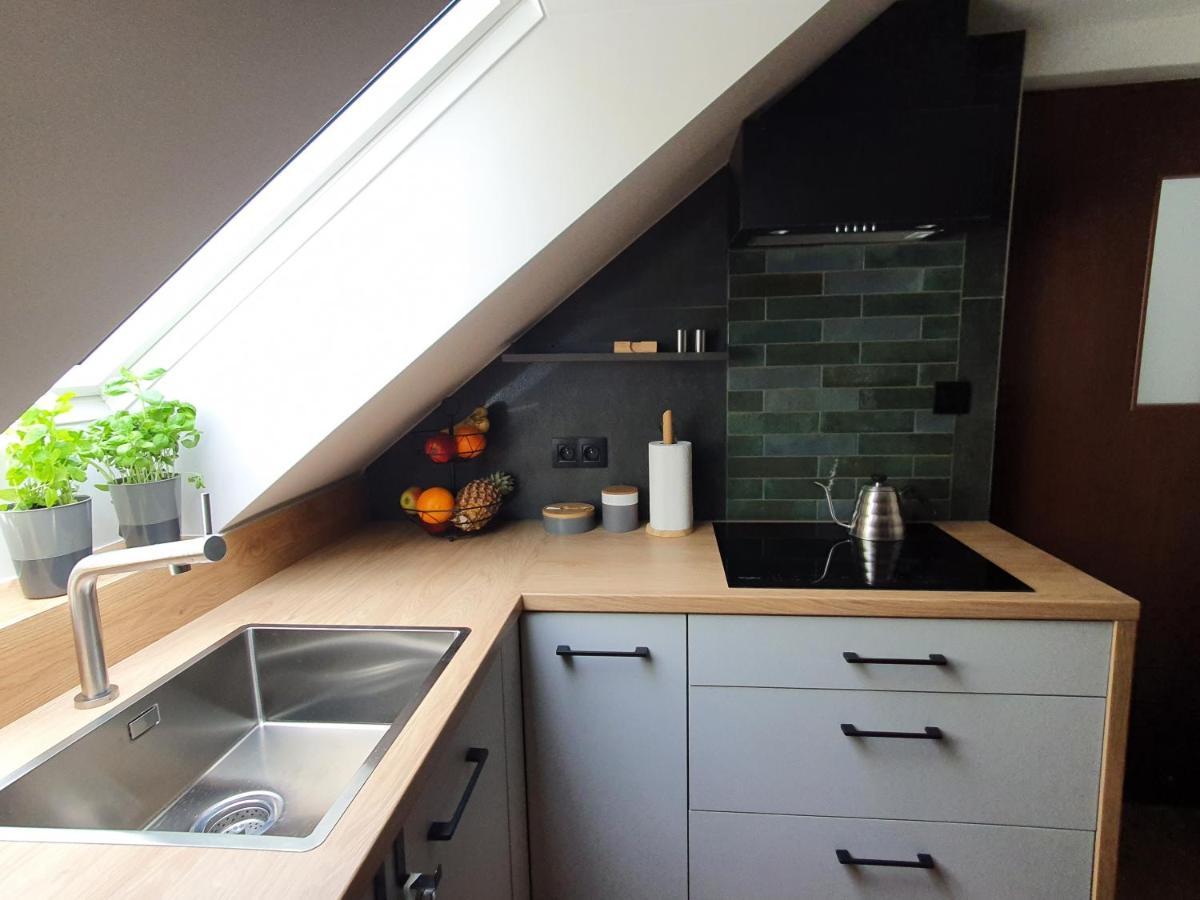 Magiczna Wenecja Apartment Cieszyn (Silesia)
